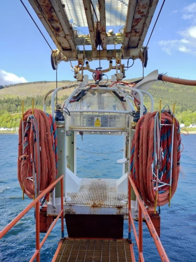 Wet Bell Top Up