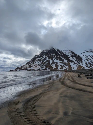 Iceland Beach Cleaning