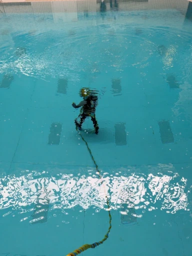 Diver in swimmingpool